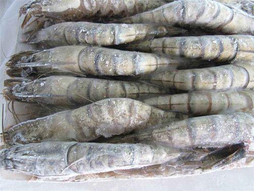 進口海鮮與農產品的知識概覽