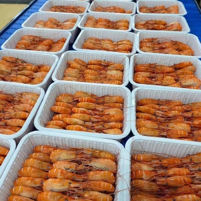 全膏羅氏蝦 水產品中的營養瑰寶與餐桌新寵