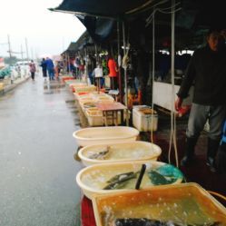 無錫小溪橋水產批發市場 地址、電話、營業時間與美食探尋指南